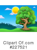 Tree Clipart #227521 by visekart