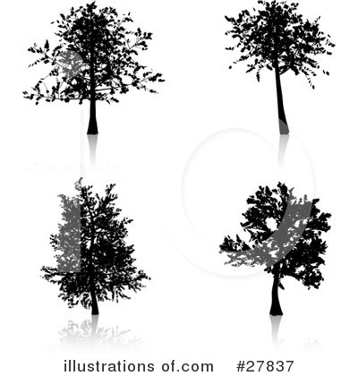 Royalty-Free (RF) Tree Clipart Illustration by KJ Pargeter - Stock Sample #27837