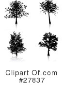 Tree Clipart #27837 by KJ Pargeter