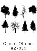 Tree Clipart #27899 by KJ Pargeter