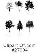 Tree Clipart #27904 by KJ Pargeter