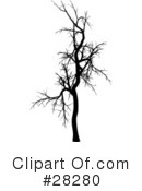 Tree Clipart #28280 by KJ Pargeter