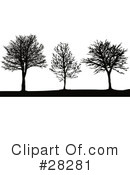 Tree Clipart #28281 by KJ Pargeter