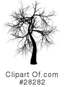 Tree Clipart #28282 by KJ Pargeter