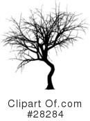 Tree Clipart #28284 by KJ Pargeter