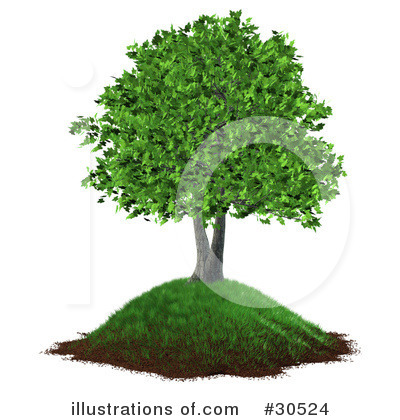 Grass Clipart #30524 by Frog974