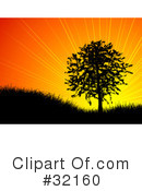 Tree Clipart #32160 by KJ Pargeter