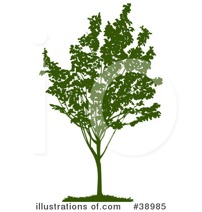 Tree Clipart #38985 by Tonis Pan