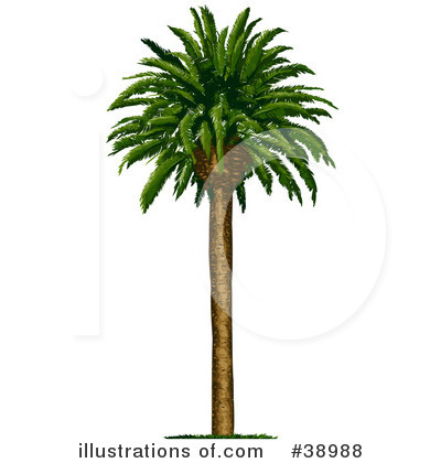 Trees Clipart #38988 by Tonis Pan
