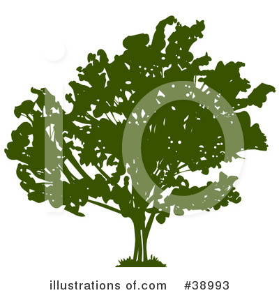 Tree Clipart #38993 by Tonis Pan