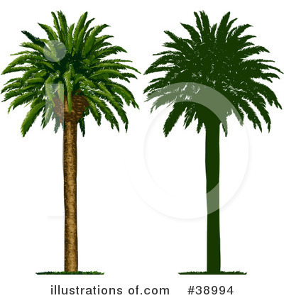 Royalty-Free (RF) Tree Clipart Illustration by Tonis Pan - Stock Sample #38994