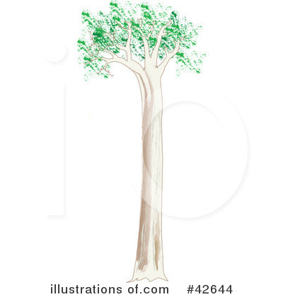 Tree Clipart #42644 by Dennis Holmes Designs
