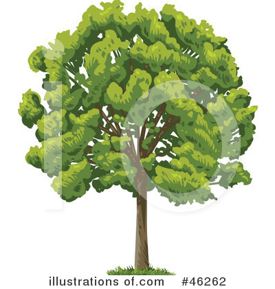 Tree Clipart #46262 by Tonis Pan