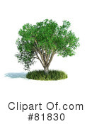 Tree Clipart #81830 by Mopic