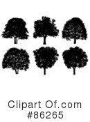 Tree Clipart #86265 by Mopic