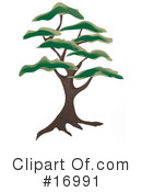Trees Clipart #16991 by Rasmussen Images