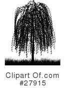 Trees Clipart #27915 by KJ Pargeter