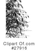 Trees Clipart #27916 by KJ Pargeter