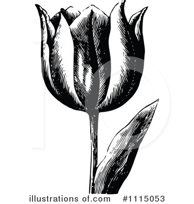 Tulip Clipart #1115053 by Prawny Vintage