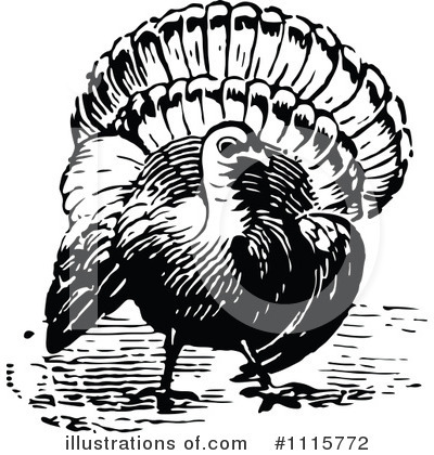 Turkey Bird Clipart #1115772 by Prawny Vintage