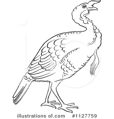 Bird Clipart #1127759 by Picsburg