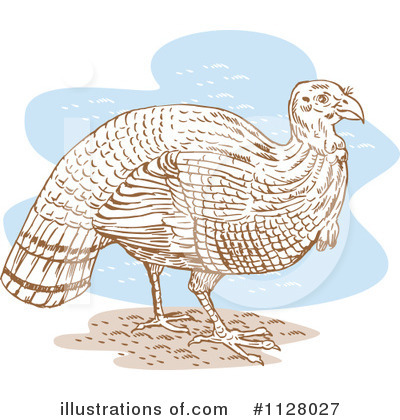 Turkey Bird Clipart #1128027 by patrimonio