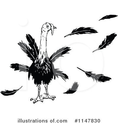 Royalty-Free (RF) Turkey Bird Clipart Illustration by Prawny Vintage - Stock Sample #1147830