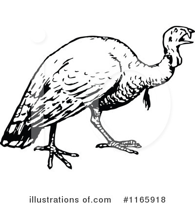 Royalty-Free (RF) Turkey Bird Clipart Illustration by Prawny Vintage - Stock Sample #1165918