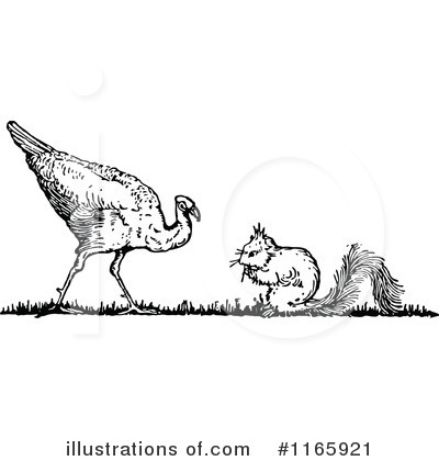 Squirrel Clipart #1165921 by Prawny Vintage