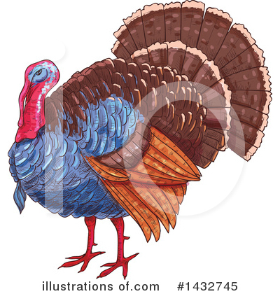 Turkey Bird Clipart #1432745 by Vector Tradition SM