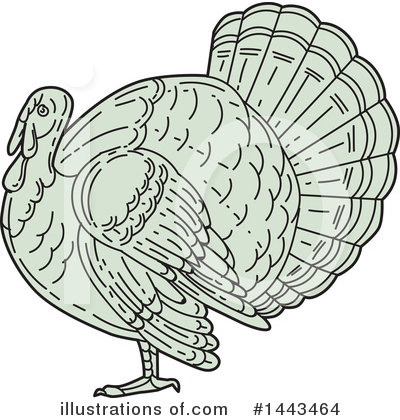 Royalty-Free (RF) Turkey Bird Clipart Illustration by patrimonio - Stock Sample #1443464