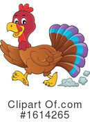 Turkey Bird Clipart #1614265 by visekart