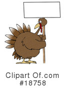 Turkey Bird Clipart #18758 by djart