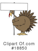 Turkey Bird Clipart #18850 by djart