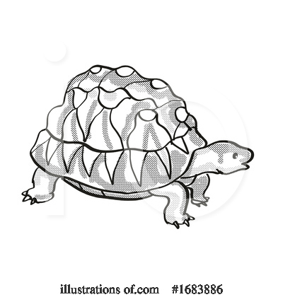 Turtle Clipart #1683886 by patrimonio