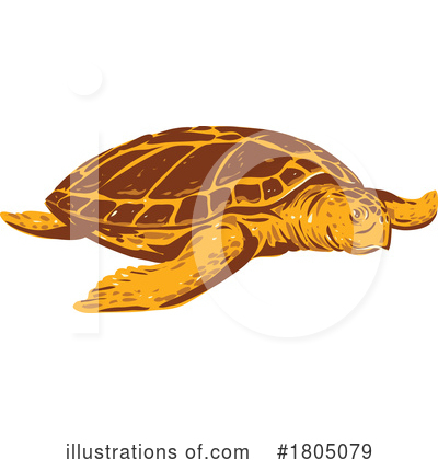 Royalty-Free (RF) Turtle Clipart Illustration by patrimonio - Stock Sample #1805079