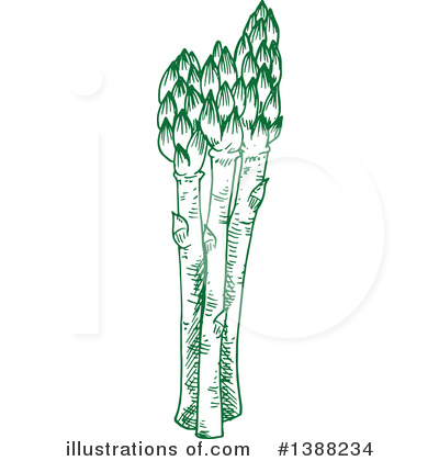 Asparagus Clipart #1388234 by Vector Tradition SM
