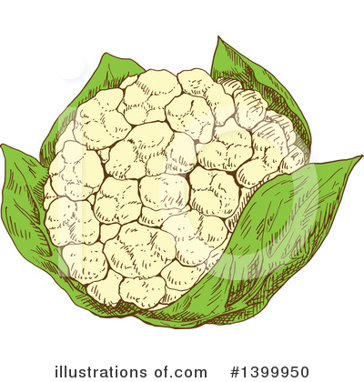 Cauliflower Clipart #1399950 by Vector Tradition SM