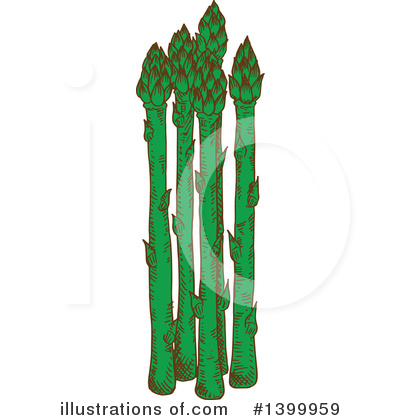 Asparagus Clipart #1399959 by Vector Tradition SM