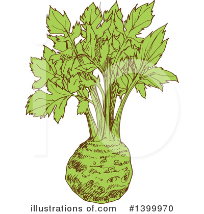 Celery Clipart #1399970 by Vector Tradition SM