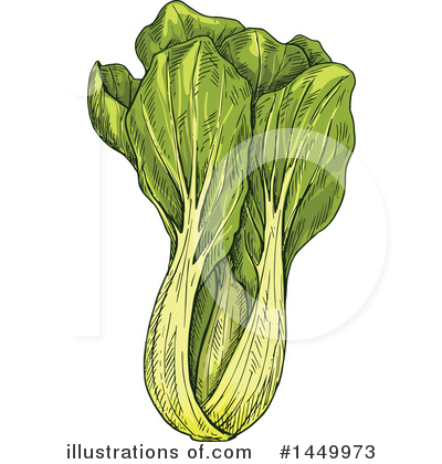 Cabbage Clipart #1449973 by Vector Tradition SM