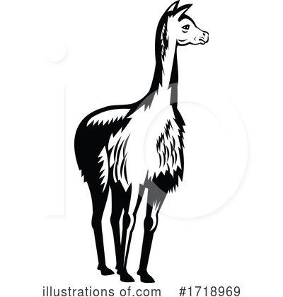 Llama Clipart #1718969 by patrimonio