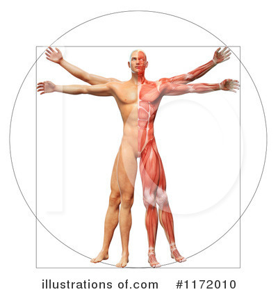 Royalty-Free (RF) Vitruvian Man Clipart Illustration by Mopic - Stock Sample #1172010