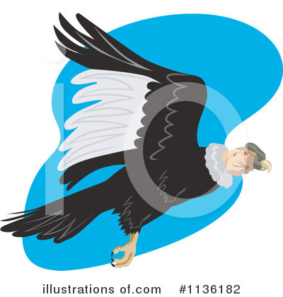 Royalty-Free (RF) Vulture Clipart Illustration by patrimonio - Stock Sample #1136182