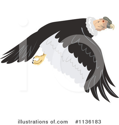 Royalty-Free (RF) Vulture Clipart Illustration by patrimonio - Stock Sample #1136183