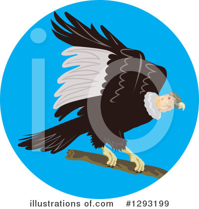 Royalty-Free (RF) Vulture Clipart Illustration by patrimonio - Stock Sample #1293199