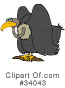 Vulture Clipart #34043 by djart