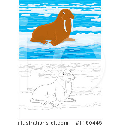 Royalty-Free (RF) Walrus Clipart Illustration by Alex Bannykh - Stock Sample #1160445