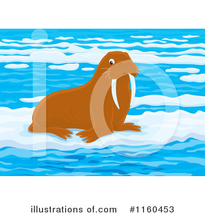 Royalty-Free (RF) Walrus Clipart Illustration by Alex Bannykh - Stock Sample #1160453
