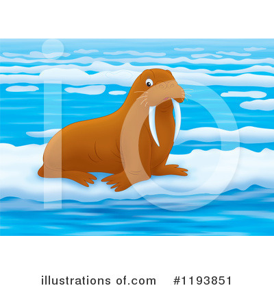 Royalty-Free (RF) Walrus Clipart Illustration by Alex Bannykh - Stock Sample #1193851